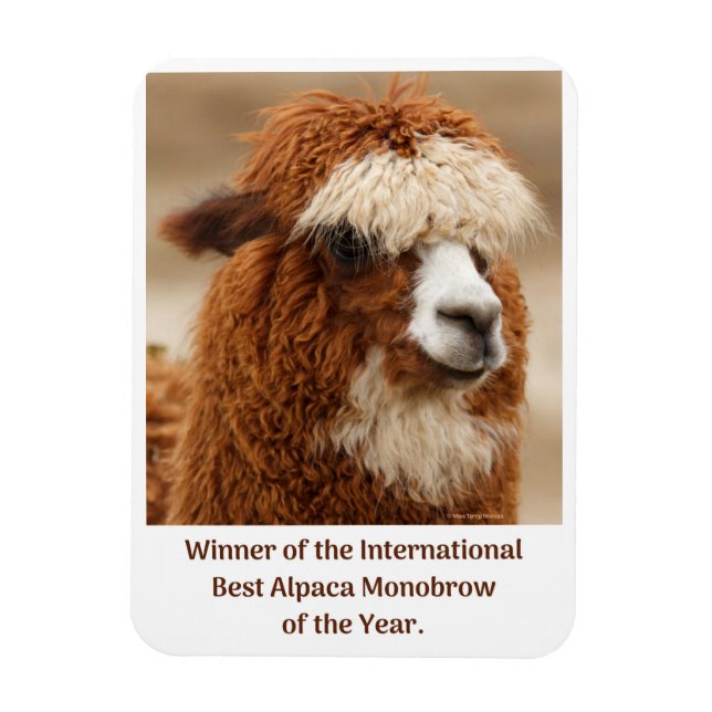 Best Alpaca Monobrow Magnet (Vertical)