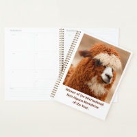 Best Alpaca Monobrow