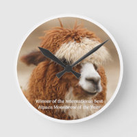 Best Alpaca Monobrow
