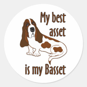 Best Asset Basset Hound Dog Funny Quote Classic Round Sticker