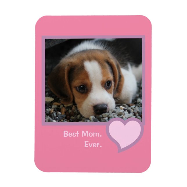 Best Beagle Mum Ever Pink Text Pet Dog Photo  Magnet (Vertical)