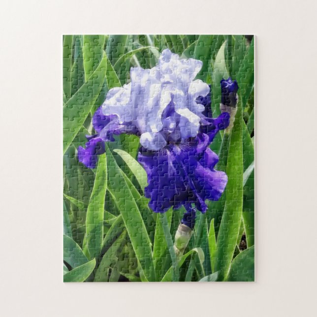 Best Bet Iris Jigsaw Puzzle (Vertical)