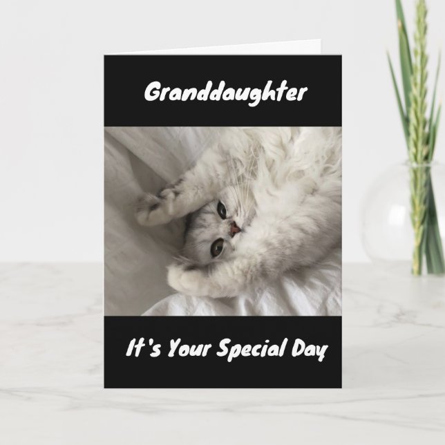 BEST BIRTHDAY EVER TO ***GRANDDAUGHTER***   CARD (Front)