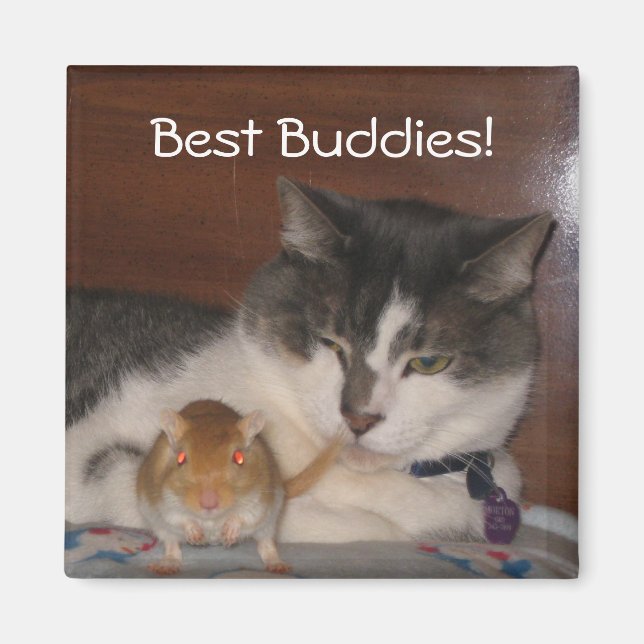 Best Buddies 2" Magnet (Front)