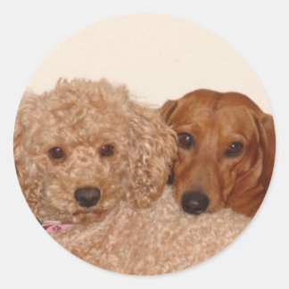 Best Buds Classic Round Sticker