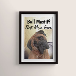 Best Bull Mastiff Mum  Poster
