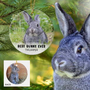 BEST BUNNY EVER Rabbit Photo Personalized Ceramic Tree Decoration