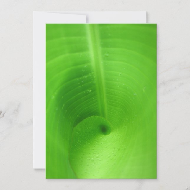 Best Card 5" x 7" (Front)