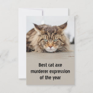 Best cat ax murderer expression 