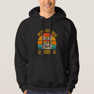 Best Cat Dad  Papa Cat With Retro Sunglasses Fathe Hoodie