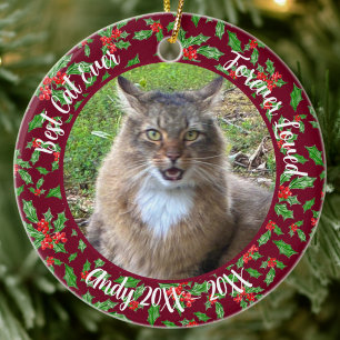 Best Cat Ever Custom Name Christmas Pet Gift Ceramic Tree Decoration