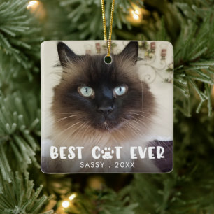 BEST CAT EVER Paw Print Personalised Photo Ceramic Ornament