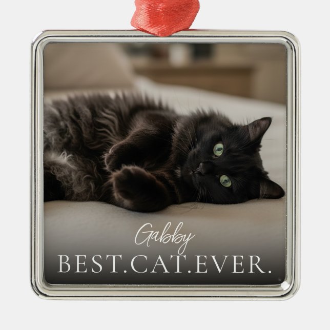 Best Cat Ever Your Pet Name And Photo  Metal Tree Decoration (Front)