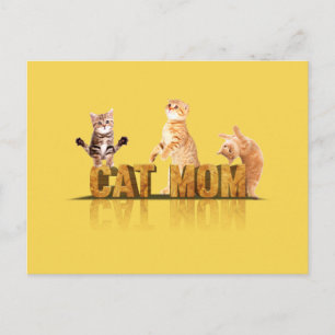 Best cat mum ever best cat mum funny funny cat postcard