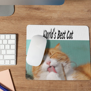 Best Cat Photo  Mouse Pad