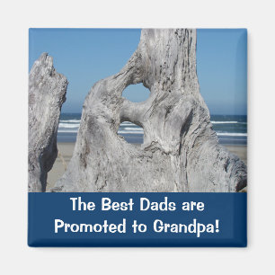 Best Dads are Promoted to Grandpa magnets Ocean