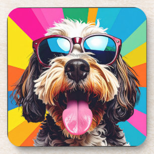 Best dog coaster