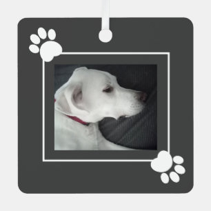 Best Dog Dad Cute Photo Frame with Paws Metal Tree Decoration