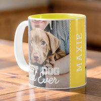 Best Dog Dad Ever Modern Custom Photo and Dog Name