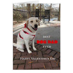 Best Dog Dad Valentine Labrador Cute