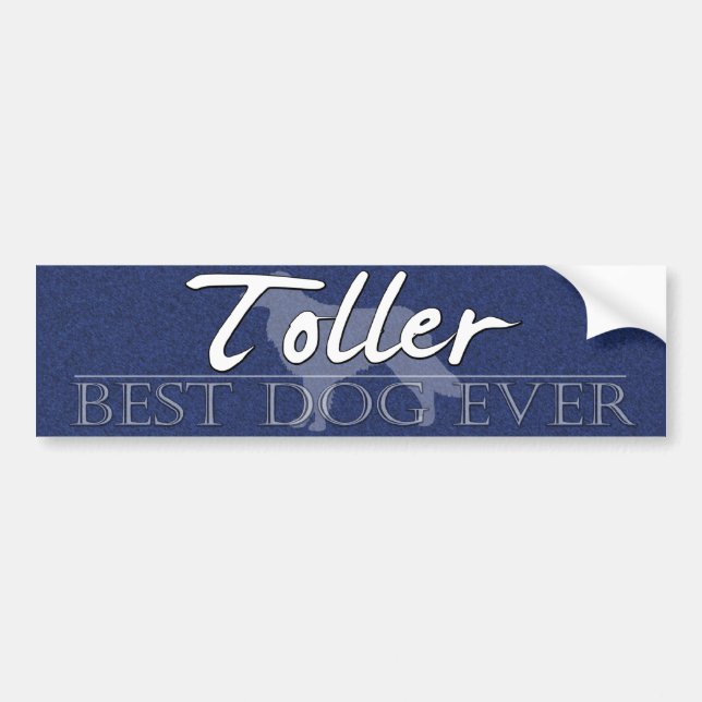 Best Dog Duck Toller Bumper Sticker (Front)