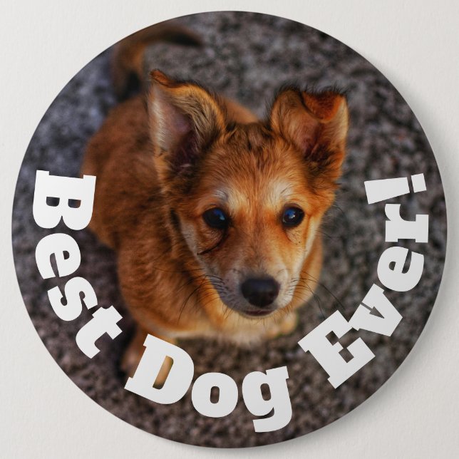 Best Dog Ever 6 Cm Round Badge (Front)