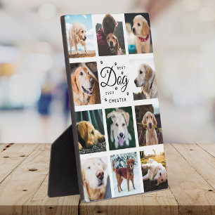 Best Dog Ever Memorial Modern Photo Collage Paw Plaque
