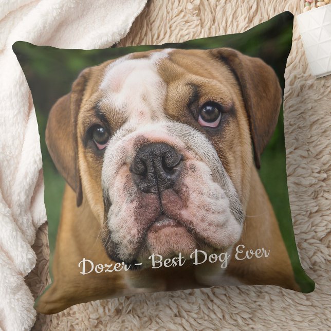 Best Dog Ever Modern Personalised Pet Photo Cushion (Creator Uploaded)