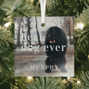 Best Dog Ever Quote & Photo Gift Glass Tree Decoration