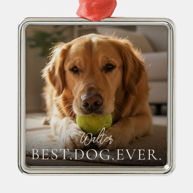 Best Dog Ever Your Pet Name And Photo  Metal Tree Decoration (Front)