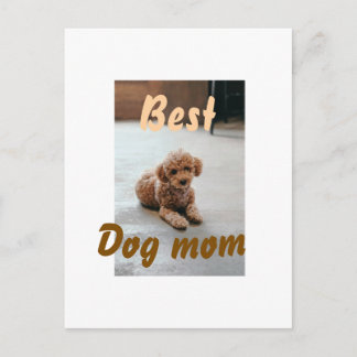 Best dog mom brown puddle pet dog cat mothers day  postcard