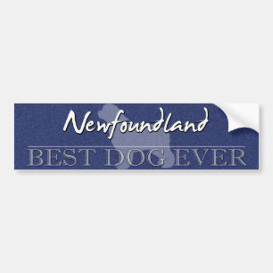 Best Dog Newfoundland Bumper Sticker