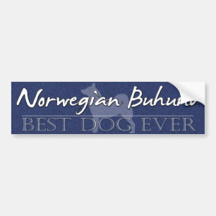 Best Dog Norwegian Buhund Bumper Sticker