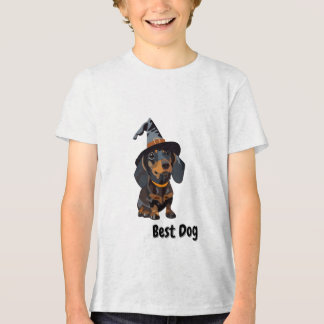 Best Dog Tri-Blend Shirt