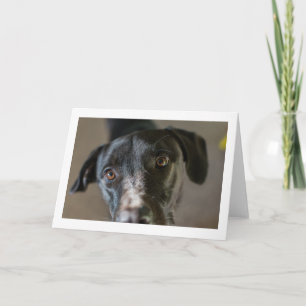 "Best Friend" blank folded greeting card