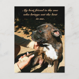 Best friend boxer postcard
