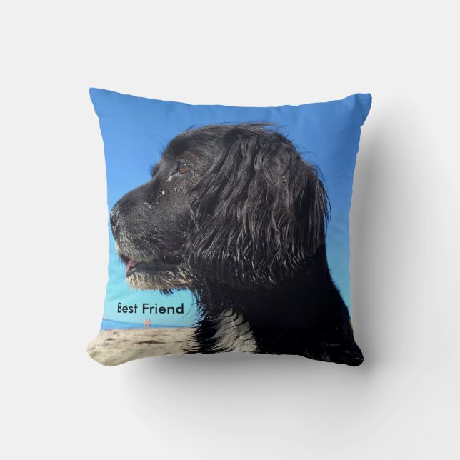 Best Friend Cushion (Front)