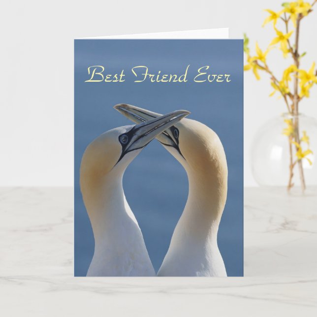 Best Friend Ever Bestie Photo Card (Yellow Flower)