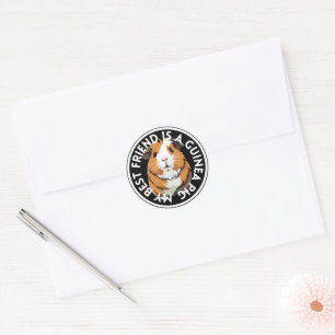 Best Friend Guinea Pig Classic Round Sticker