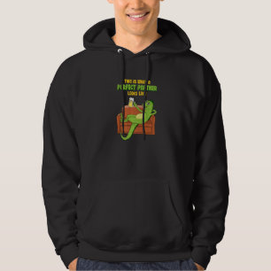 Best Friend Iguana With Beer On Sofa Hoodie