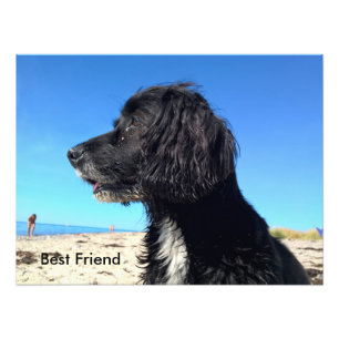Best Friend Photo Print