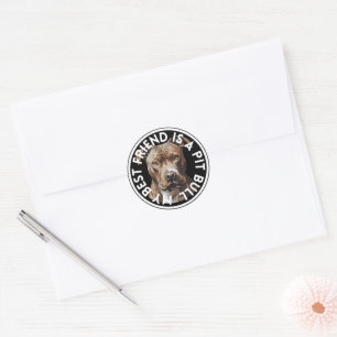 Best Friend Pit Bull Terrier Classic Round Sticker