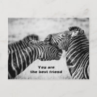 Best friend quote with Zebras