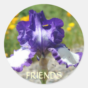 BEST FRIEND STICKERS Purple Iris Flowers Gifts
