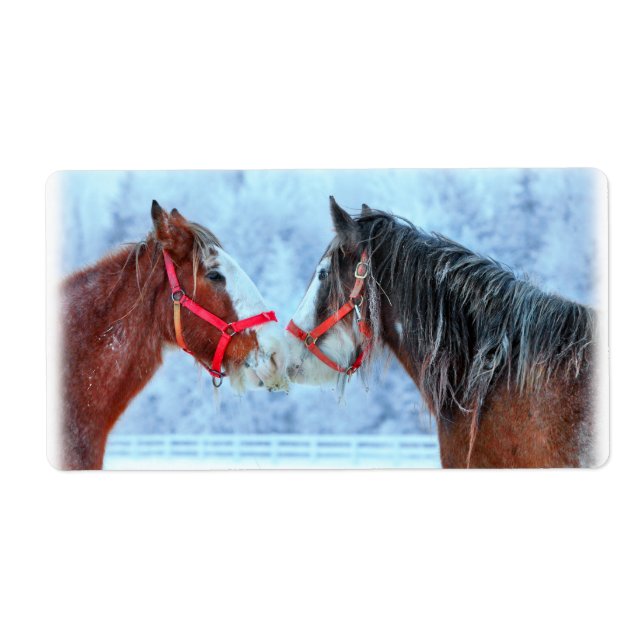 Best Friends (Front)