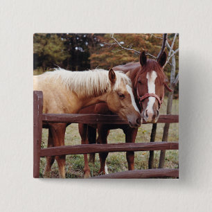 Best Friends 15 Cm Square Badge