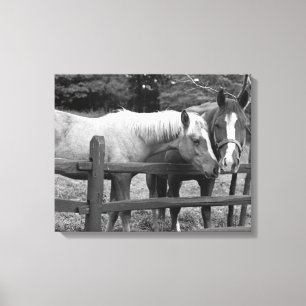 Best Friends Canvas Print