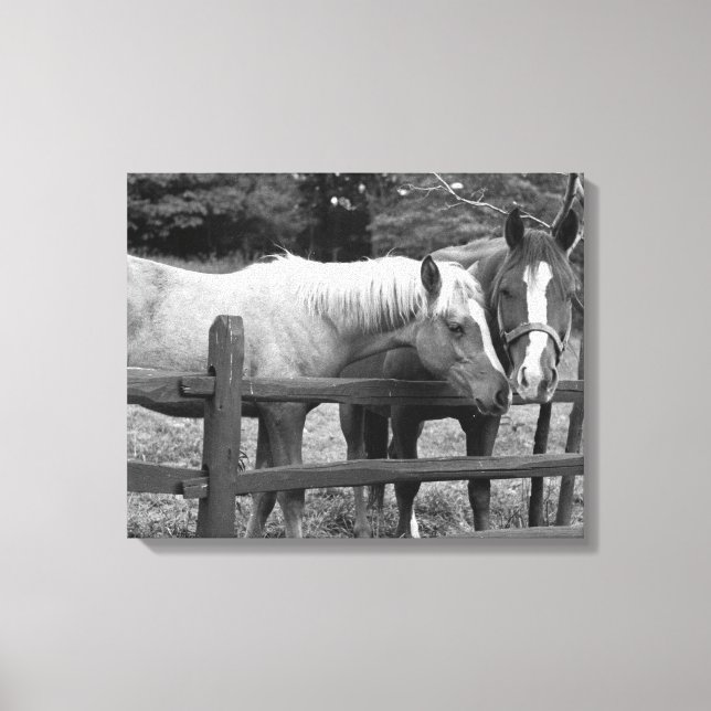 Best Friends Canvas Print (Front)