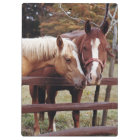 Best Friends