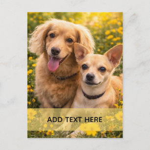 Best Friends Dachshund and Chiweenie ADD YOUR TEXT Postcard